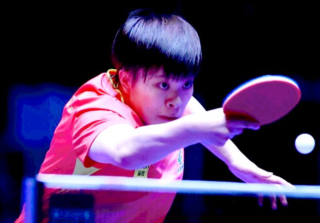 质得到了极 质得到了极